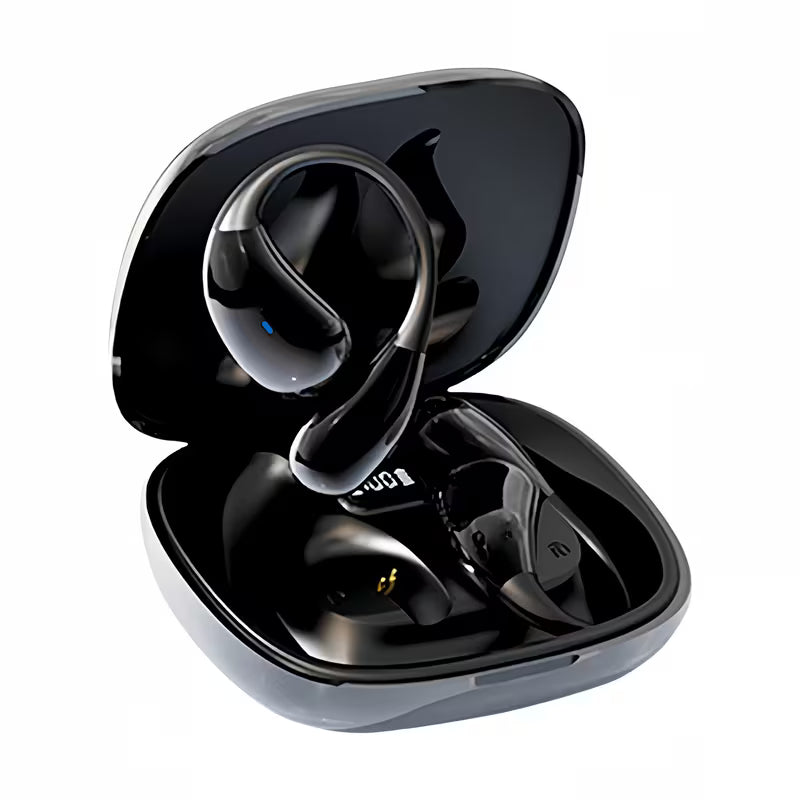 Metallic Ear Pods