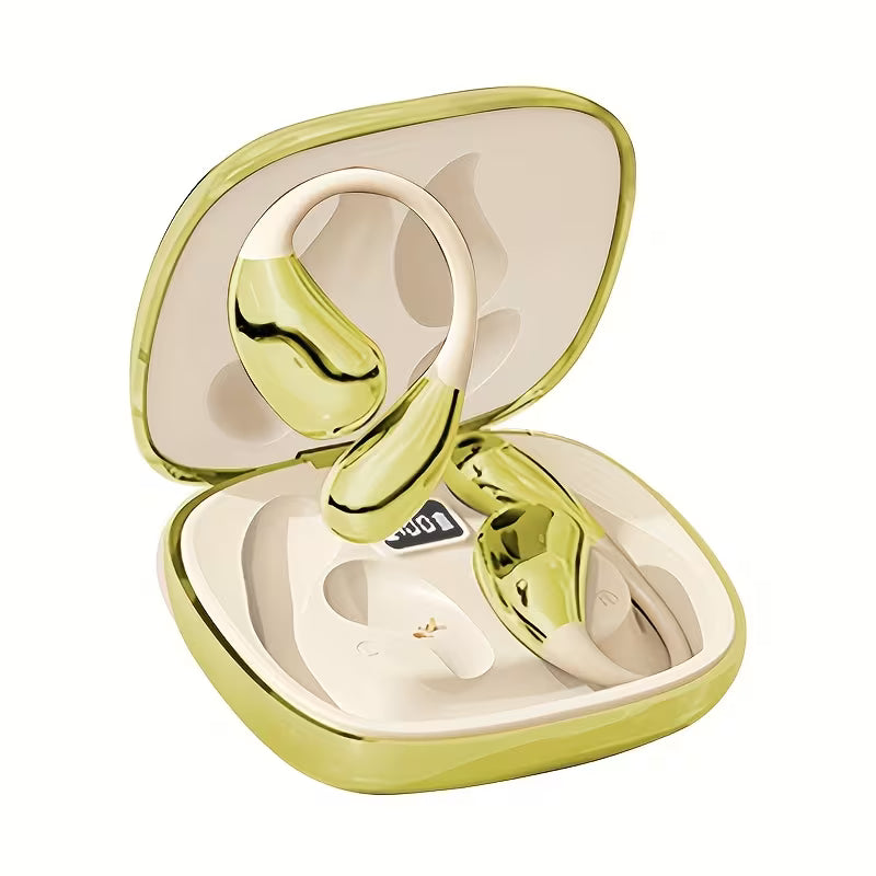 Metallic Ear Pods