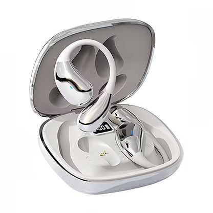 Metallic Ear Pods