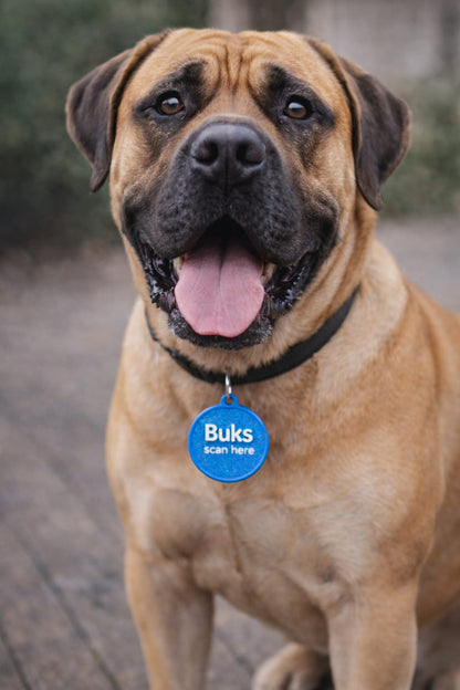 Smart Pet ID Tag