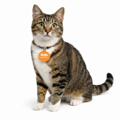 Smart Pet ID Tag